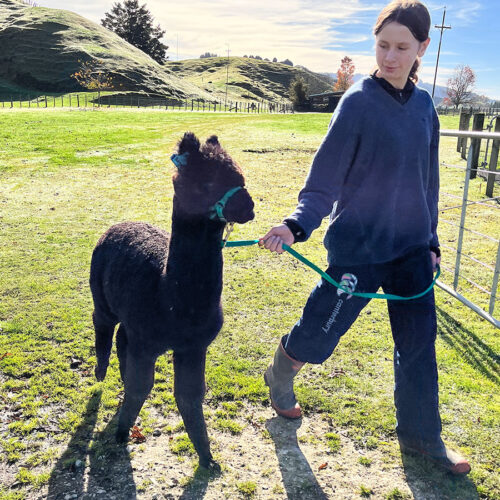 Rangi