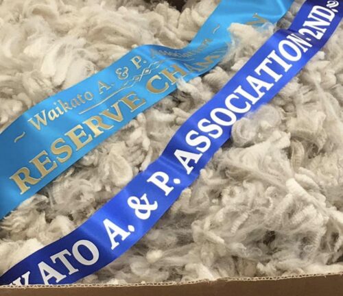 Nevalea Orchid's show winning fleece