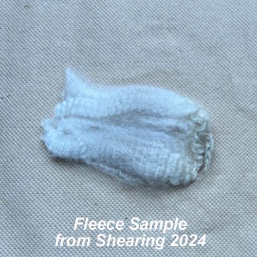 Nevalea Shaz - Image 2